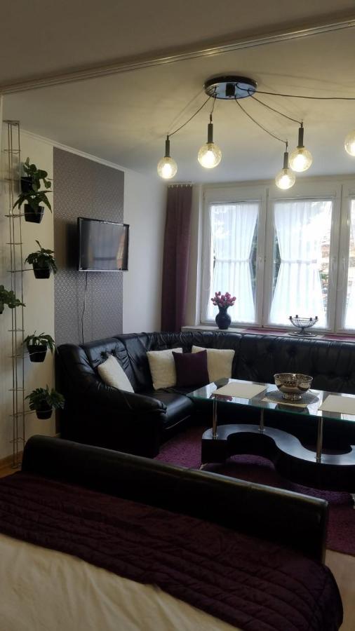 Apartament Zamosc Fiolet Экстерьер фото