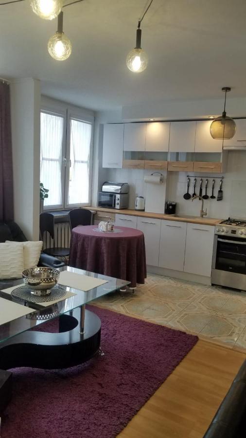 Apartament Zamosc Fiolet Экстерьер фото